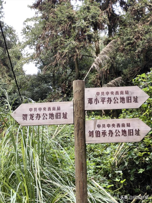 户外徒步之挑战缙云九峰，从健身梯道到狮子峰，走了四小时