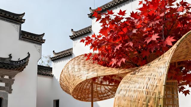 南湖秋雾映徽韵，古村岁稔醉秋光 —— 安徽黄山宏村赏秋手记