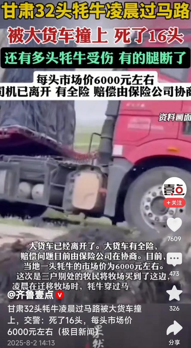 甘肃牦牛凌晨过马路被大货车撞上！死了16头，每头价值6千元左右