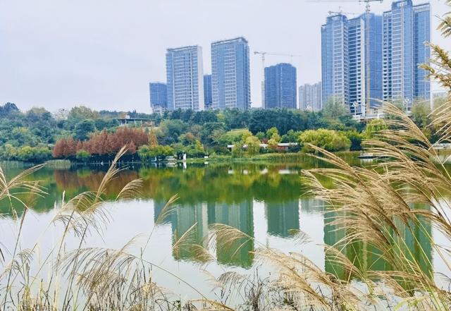 14个免费公园遛娃全攻略：看猴、玩水、露营、徒步一次集齐！速藏