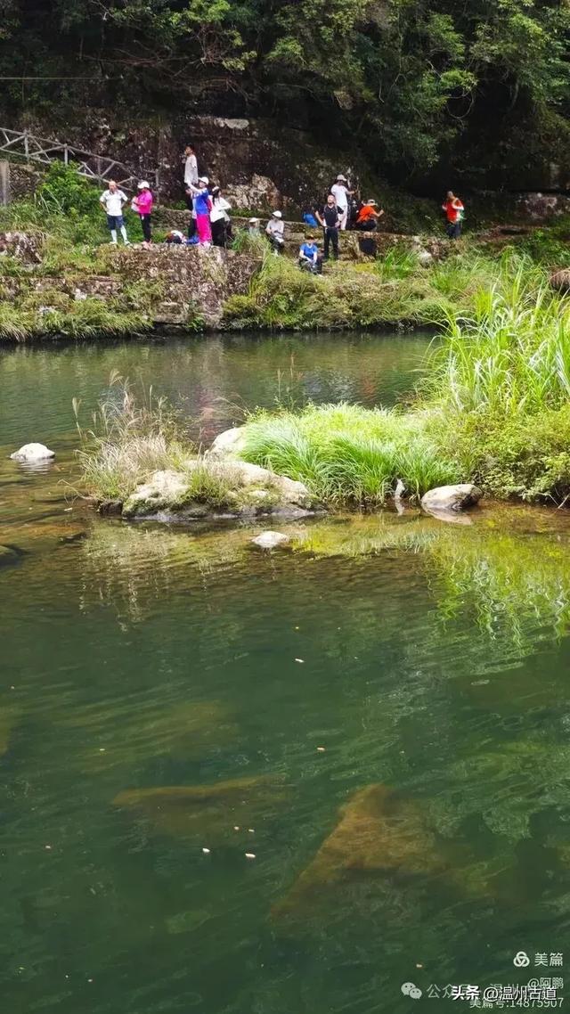 隐藏在温州深山幽谷的绿野仙踪，免费开放，知道的人却极少！