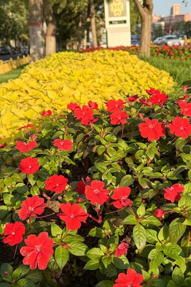 太原市迎泽区：府城漫步｜满城色彩绘就秋日画卷