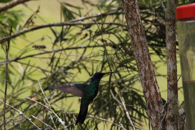 回国了我才敢说：委内瑞拉	，是我去过的所有国家中，最被看轻的！