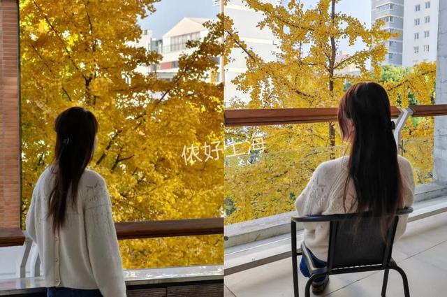 出片率100%！上海人都在找这个“限定露台”！这条“银杏大道”好拍又好吃！
