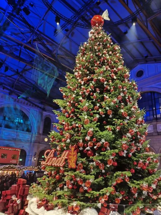 去流浪吧!直到世界尽头!