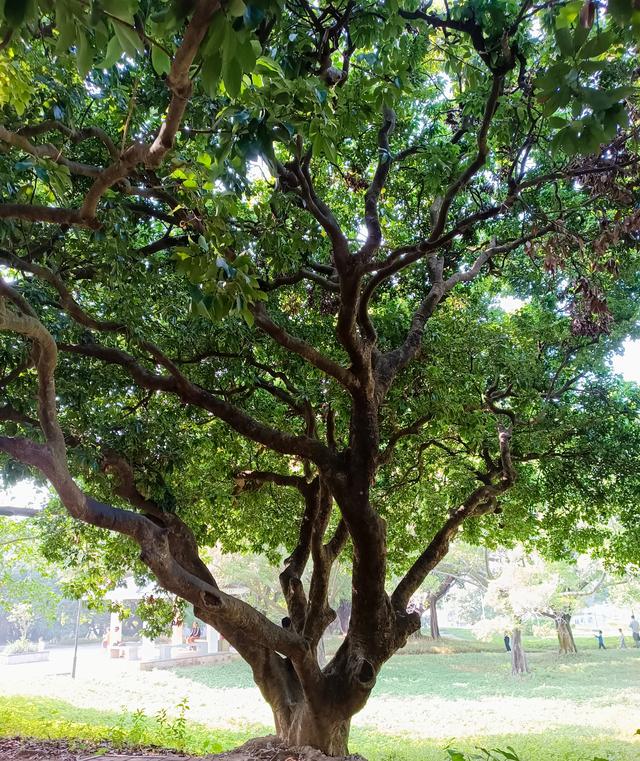 老年人的生活就是这样的