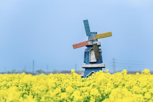 大量印尼游客涌入济南	，打着旅游幌子不去旅游不吃美食，为啥来？