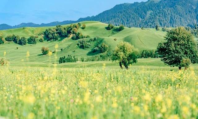 我今年56岁才顿悟！男人没了女人就2个字	，女人没了男人就4个字！