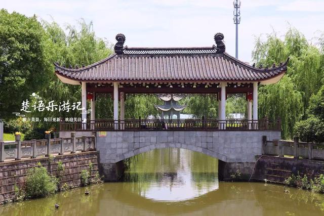 宁波因神话传说而建的寺院，荷塘成为热门打卡地，美人蕉花海更美