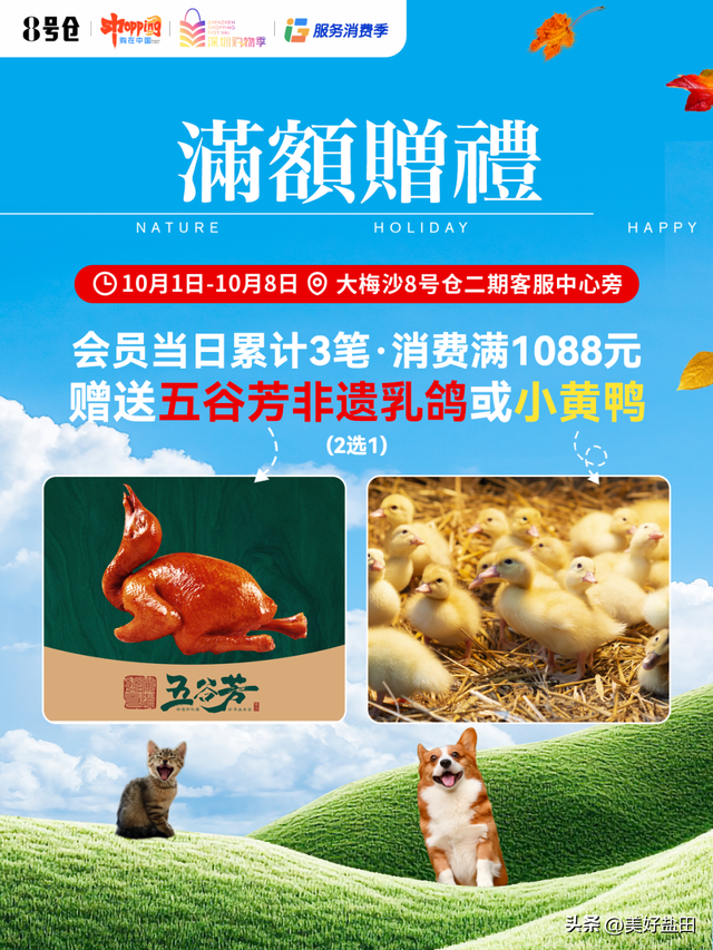 梅沙国庆终极攻略！这些福利正在刷屏→