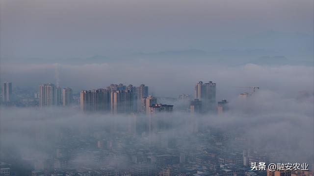 广西融安：云雾缭绕 美景如画