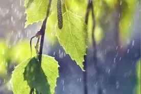 贵阳未来一周雨雨雨图片