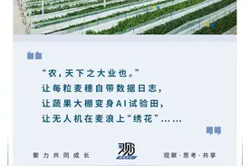 “云端种地”成现实！数字化让农民变身新农人，2025农业大变革来了图片