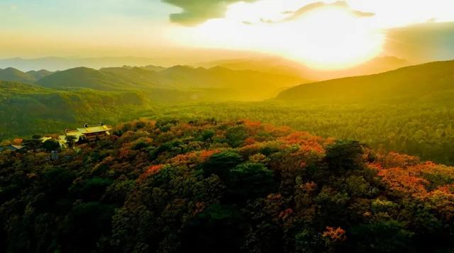 2025利州秋色，每一帧都是限定浪漫