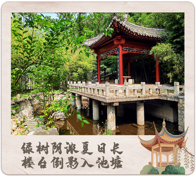 望岳图集丨泰山清凉密码①彩石溪：天然空调房！沉浸式避暑图鉴来啦