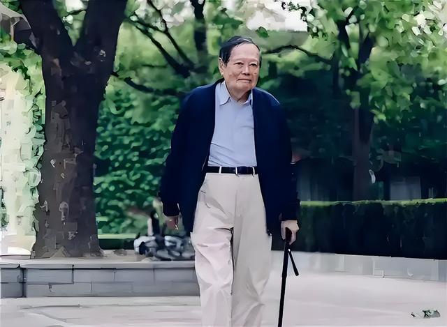 杨振宁告别仪式上，49岁翁帆近照曝光，原来杜致礼亲妹真的没说错