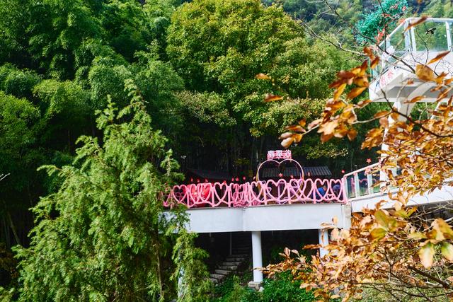 黄山翡翠谷秋韵，溪水映红叶，藏在山水间，一步一景皆是诗情画意