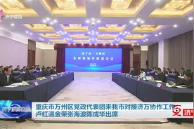 重庆市万州区党政代表团到济宁市对接济万协作工作 卢红温金荣张海波陈成华出席图片