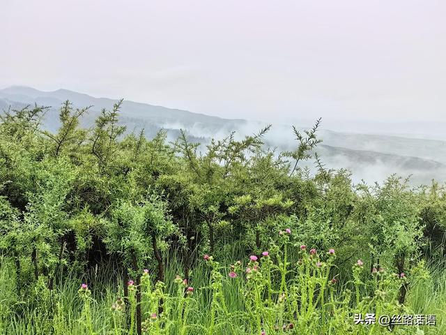 图集丨秋日焉支雨霁：云雾入画若仙踪