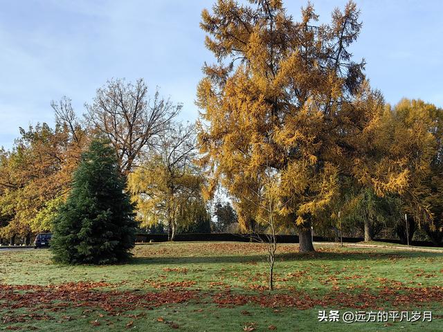 温哥华游记（四）