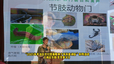 丰台区文化馆免费体验精彩活动，别再错过这处南城的“宝藏”！
