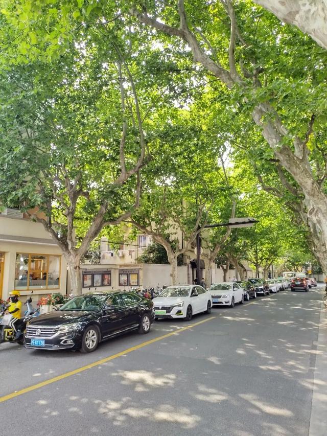 叮！你有一份上海秋日漫步地图待解锁→