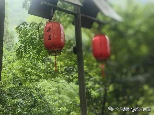温州这个免门票的小众隐世宝地你可去过？