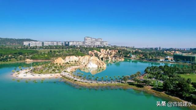 谁懂啊！建水五龙湖新来的黑天鹅，直接美成冬日童话