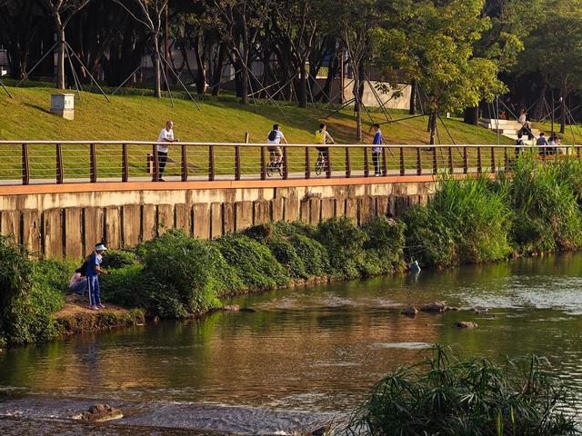 环西丽湖绿道骑行慢行随拍-动个好奇心