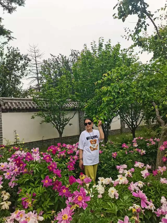 游沧州河间府署,没想到包公在此任过职,河间也曾阔过配姓赵么?