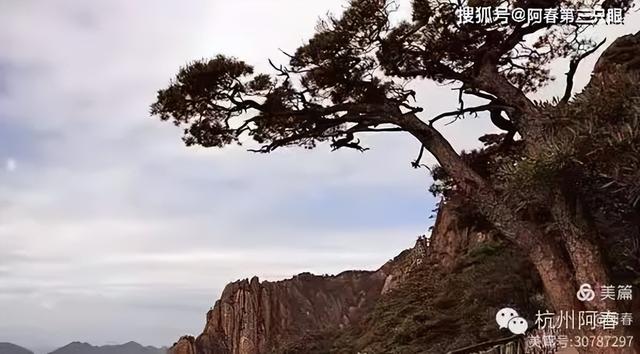 奇峻秀美 三清山