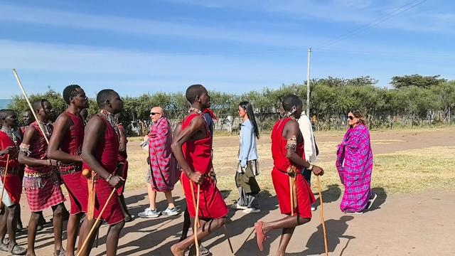 非洲坦桑尼亚8天7晚野奢之旅，乘越野车Safari，看动物大迁徙！