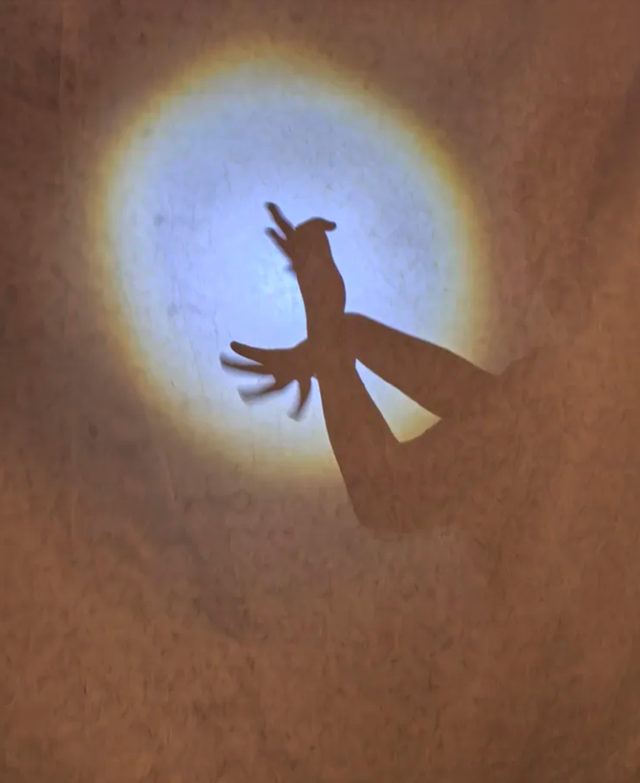 宽窄巷子里，藏着蜀地的自信与闲适