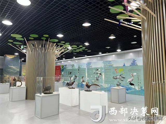 陕西科技馆举办“漫游科学世界 共贺祖国华诞” 主题科普活动