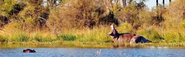 2026封神旅行清单！非洲五国（南非/东非）23天狂野之旅，太顶了