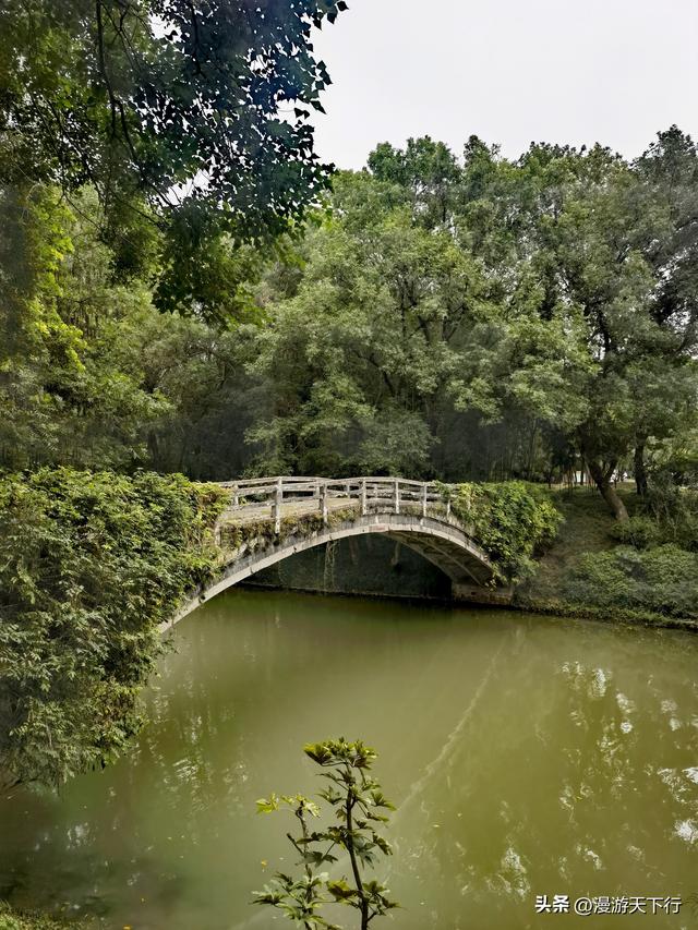 烟雨中重游瘦西湖，狂拍美景，整个人醉卧美景中