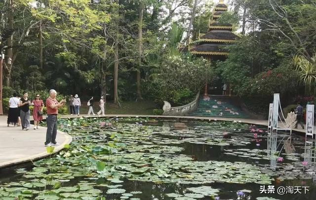 西双版纳自由行之九: 曼听公园《西双版纳的最后记忆》