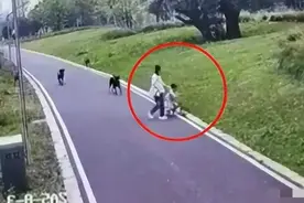 破案了！母女被恶犬撕咬后续，狗主人身份曝光，丈夫提出4点诉求图片
