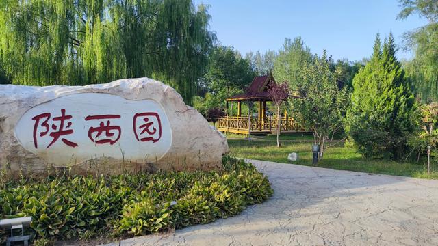 银川花博园真的好大，好大，是我见过的最大的花园