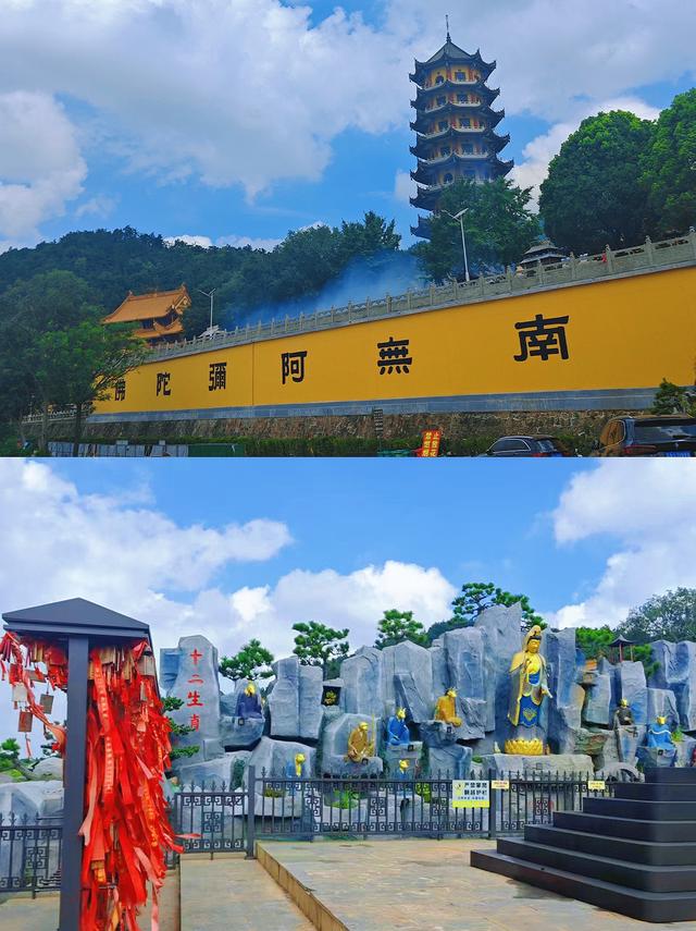 这个8月，拖猫带狗闯江南竹海~