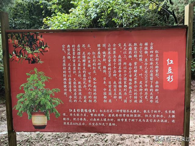 无为在歧路，壶关林州大名府3