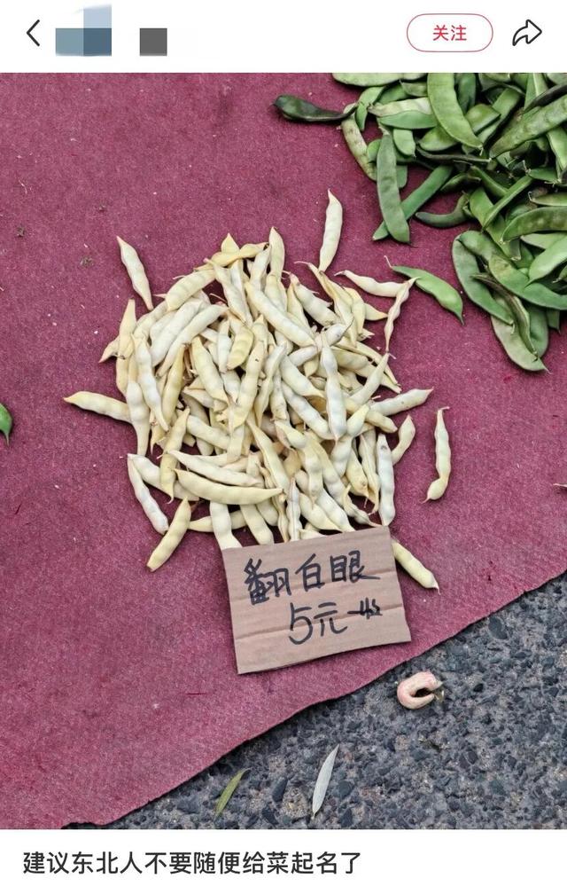 地理冷知识—东北旅游