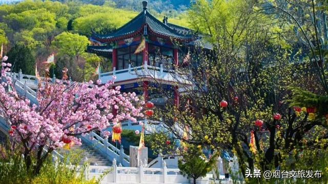 【乐游烟台】五月来烟台，这条周末路线带你玩转莱州！