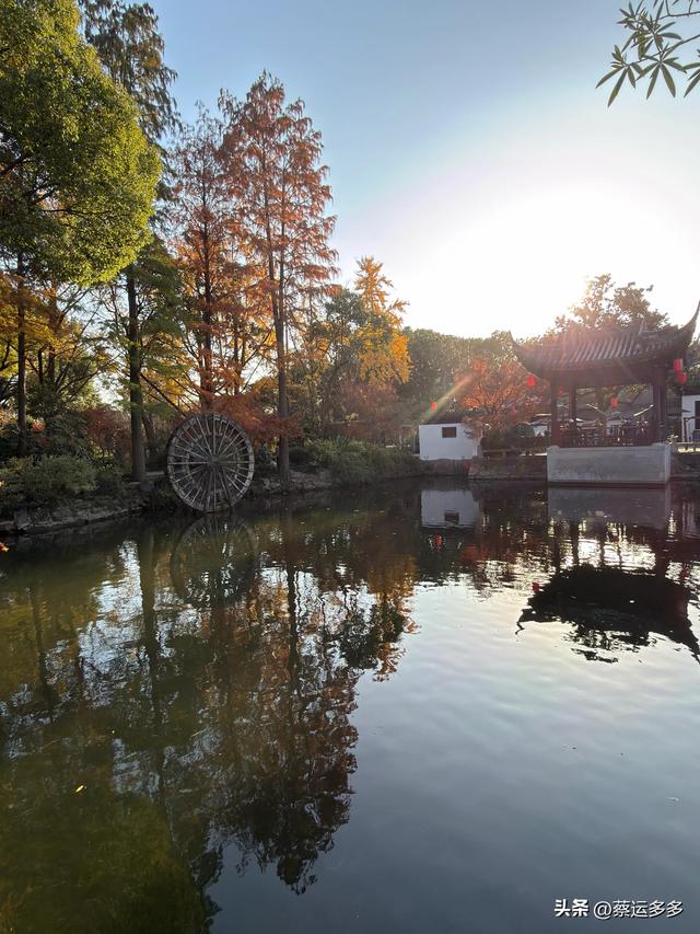 沪上园林古猗园已达颜值巅峰