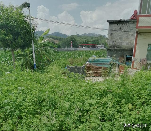 广西南宁市马山县乐圩300年古墓，墓主韦姓疑是兴隆土司韦贵后裔