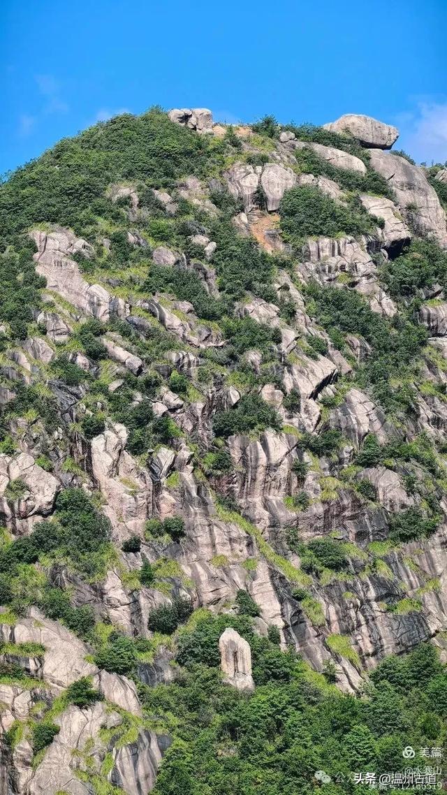 “浙南之巅”竟藏着以奇石景观著称的微缩版三清山，目前免费玩！