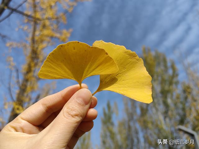 我把自己活成了一个“陀螺”