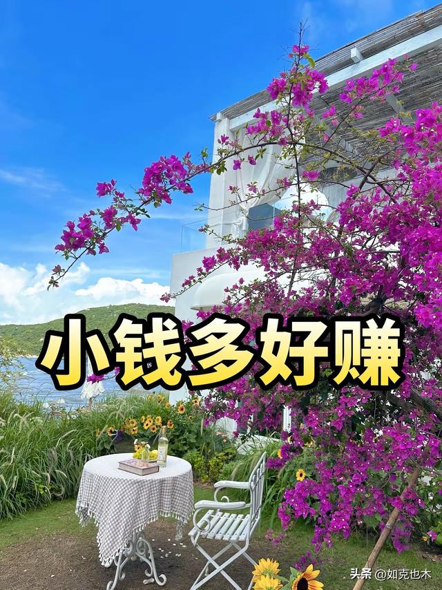 轻松创业：一个人的理财数字王国标题字数：24/24