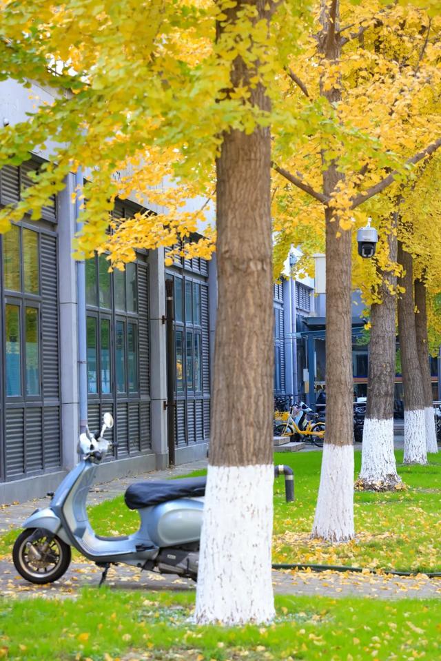 藏不住的惊艳！这座公园正处颜值巅峰