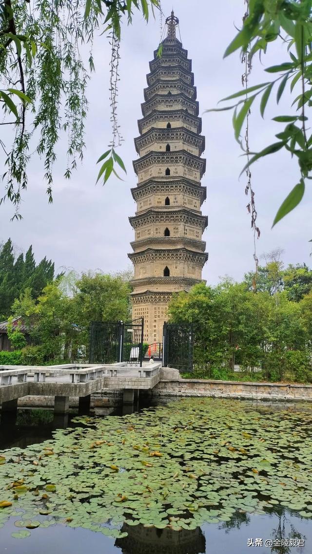 绿阳春拂柳蒙城 三千年文化朝圣